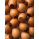 Oeuf coquille - Lait