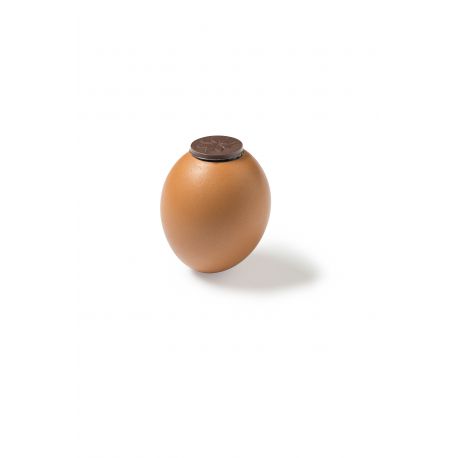 Oeuf coquille - Lait