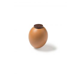 Oeuf coquille - Noir